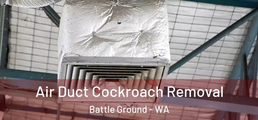 Air Duct Cockroach Removal Battle Ground - WA