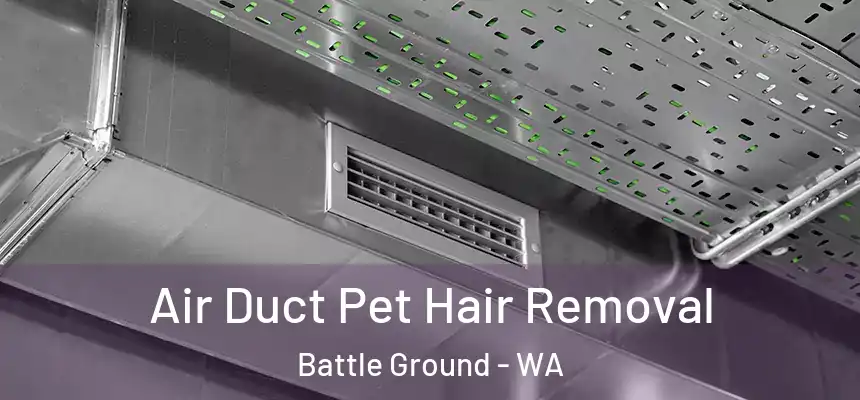  Air Duct Pet Hair Removal Battle Ground - WA