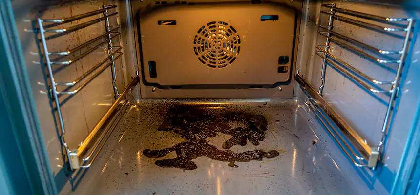 Our Dryer Vent Mold Cleaning Services in Battle Ground, WA