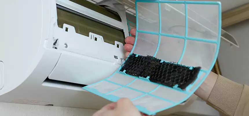 Gentle Ductwork Odor-Control Pet Dander Duct Cleaning in Battle Ground, WA