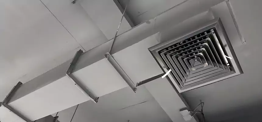 Our Rodent Droppings In Vents Services in Battle Ground, WA