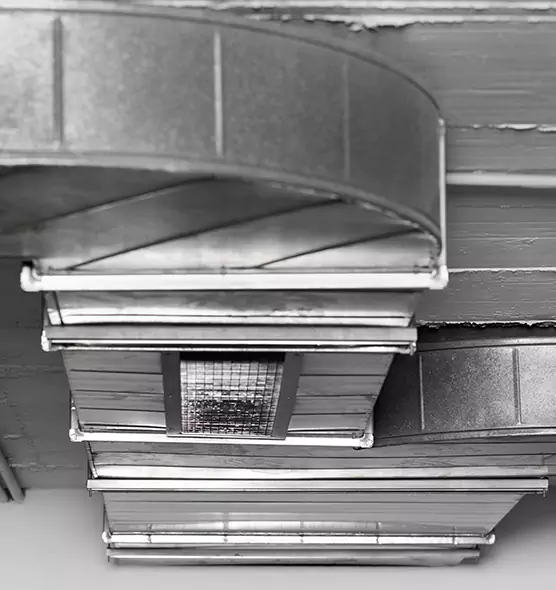 Professional Air Duct Pet Hair Removal in Battle Ground, WA