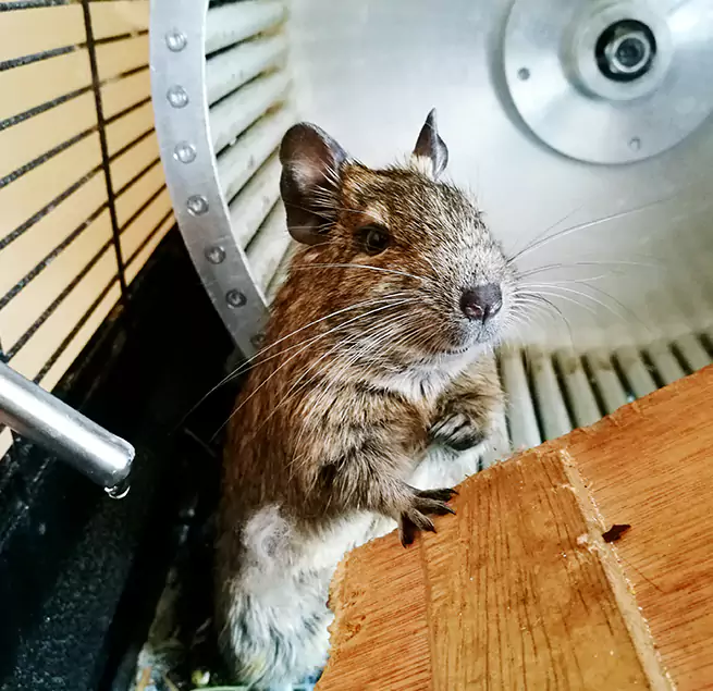 Why Homeowners & Businesses Trust Us Battle Ground, WA?