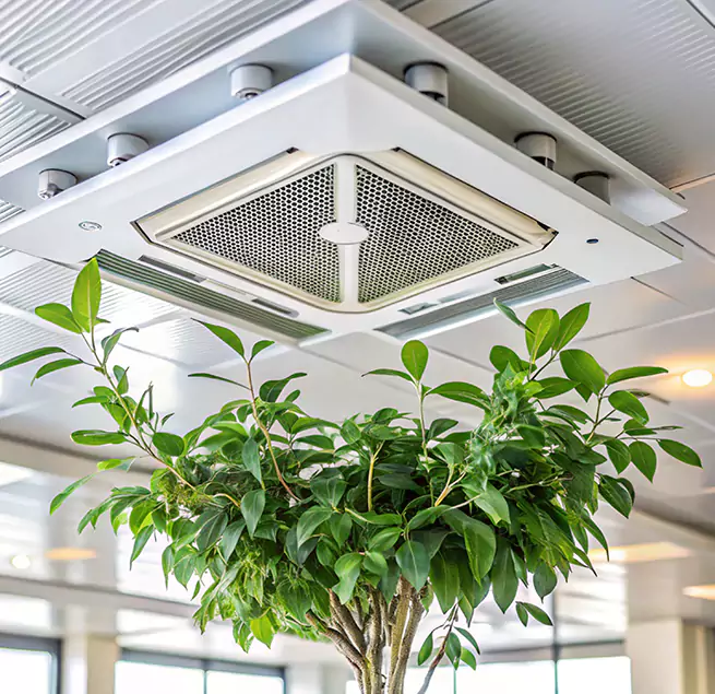 Why Homeowners & Businesses Trust Us in Battle Ground, WA?